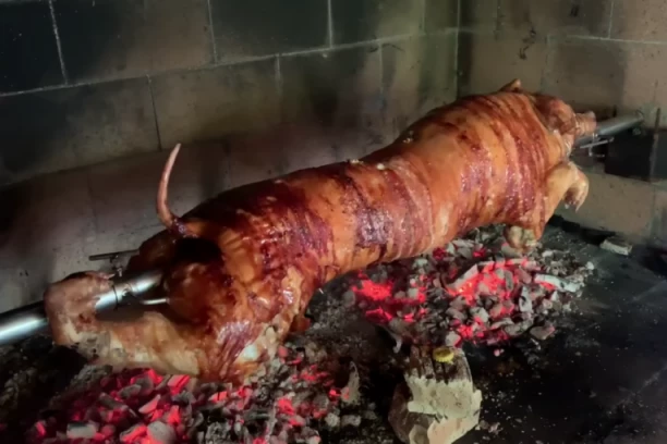 SVE PO REDU, STOČIĆ, STOLICA A TU JE I PRASE NA RAŽNJU: Nesvakidašnja scena sa šetališta na NBG šokirala sve  - gospodin ga uživa (VIDEO)