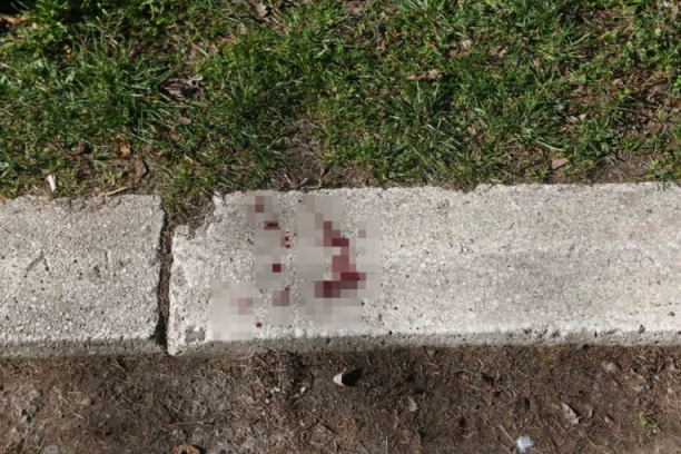 OPKOLILI GA, PRETUKLI PA IZBOLI NOŽEM! Petorica sa fantomkama UBILI MLADIĆA na Labudovom brdu, devojka sve gledala! (VIDEO/FOTO)