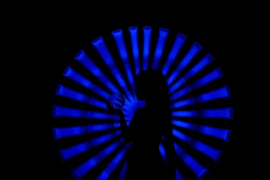 ŠTA VIDITE NA FOTOGRAFIJAMA? Optička iluzija otkriva vaše najdublje tajne!