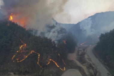 POŽAR U NUKLEARNOJ ELEKTRANI: Vatru obuzdava 2 hiljade ljudi, evakuisano svo stanovništvo