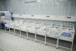 DIVNE VESTI ZA SRBIJU! U porodilištu u Novom Sadu za dan rođeno 29 beba: Na svet došli i blizanci, brat i sestra