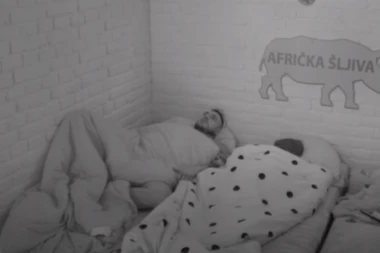 Filip Car i Ana Jovanović ŽESTOKO ISPONIŽAVALI Dalilu Dragojević: Ona je klasična SELJANKA, hoće da ispadne ŽRTVA! (VIDEO)