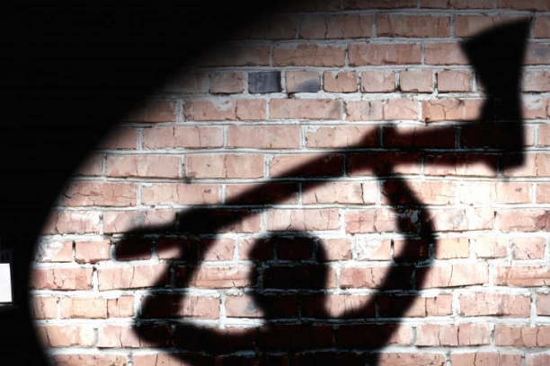 ZARIO BRATU SEKIRU U LEĐA! Posvađali se oko zemlje, pa pokušao da ga ubije, osuđen Predrag iz Niša!