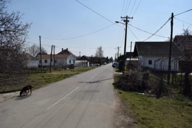 PREDAO se vozač "AUTOMOBILA SMRTI" iz Obrenovca! Ubio starca, ženu teško povredio pa pobegao!