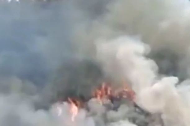 RUSKI MILIONER POGINUO U AVIONSKOJ NESREĆI U AVGANISTANU! Nastradala i njegova žena! SIN PUKOM SREĆOM PREŽIVEO!