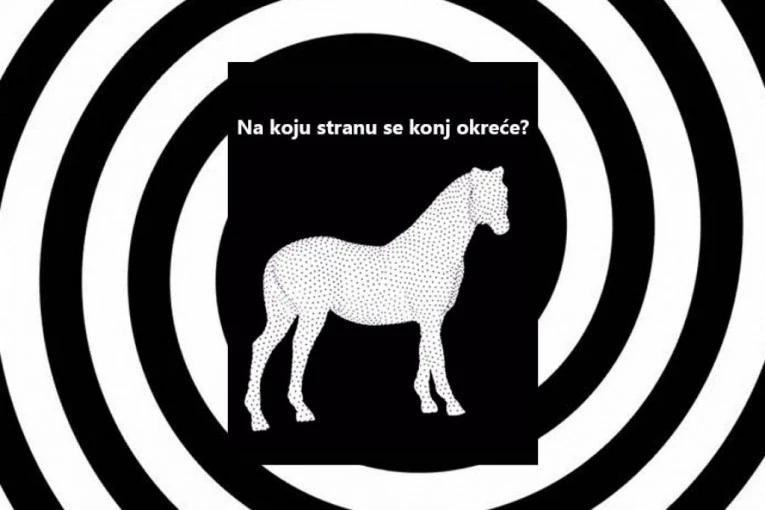 ILUZIJA KOJA JE ZAVRTELA INTERNET: Na koju stranu se okreće konj?