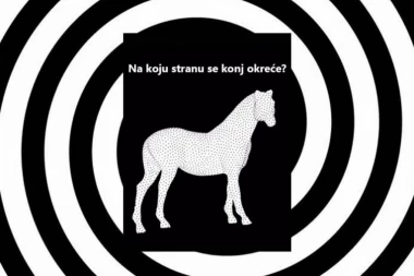 ILUZIJA KOJA JE ZAVRTELA INTERNET: Na koju stranu se okreće konj?