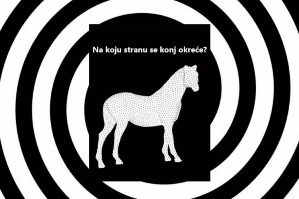 ILUZIJA KOJA JE ZAVRTELA INTERNET: Na koju stranu se okreće konj?
