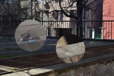 DEVOJČICA ŠMRČE, A BABA DILUJE! Komšije otkrivaju šokantne informacije o parkiću u centru Beograda! (FOTO, VIDEO)