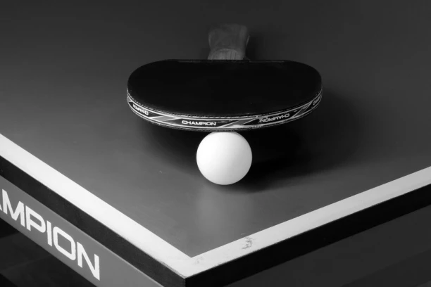 PREMINUO KARAKAŠEVIĆ: Crn dan za stoni tenis!