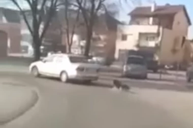 UZNEMIRUJUĆI SNIMAK MUČENJA PSA! Vezao ga za automobil i vukao kroz Bujanovac, pa se OVAKO pravdao! (VIDEO)