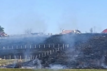 Gori poznato POLJE LAVANDE u Bukovcu! U plamenu svojevrsna TURISTIČKA ATRAKCIJA kod Novog Sada!