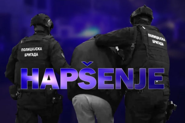 HAPŠENJE! Policija upala u kuću Nišlije, odmah mu stavili lisice na ruke kad su videli šta krije!