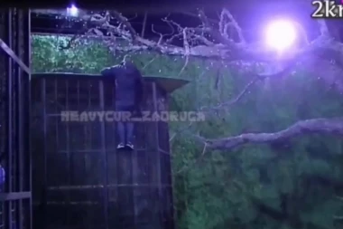 BEBICA POBEGAO IZ ZADRUGE: SNIMAK bega Nenada Macanovića ŠOKIRAO JAVNOST, samo je izašao iz Bele Kuće i u roku od par sekundi NESTAO! (VIDEO)