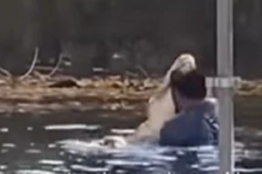 UŠAO U VODU SA ALIGATOROM! Životinja odmah odreagovala na njegov potez! (VIDEO)