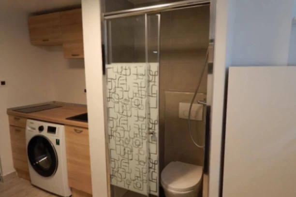 NEVEROVATAN OGLAS ZA STAN OD 11 KVADRATA: Izdaje stan veličine GOLUBARNIKA za 280 evra - Dodatni horor je GAZDA koji "VRBUJE" devojke!