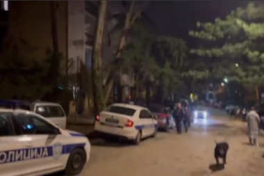 PRVI SNIMCI sa mesta tragedije u Mirijevu! Nepokretna žena izgorela u stanu! Pas nepovređen! (VIDEO)