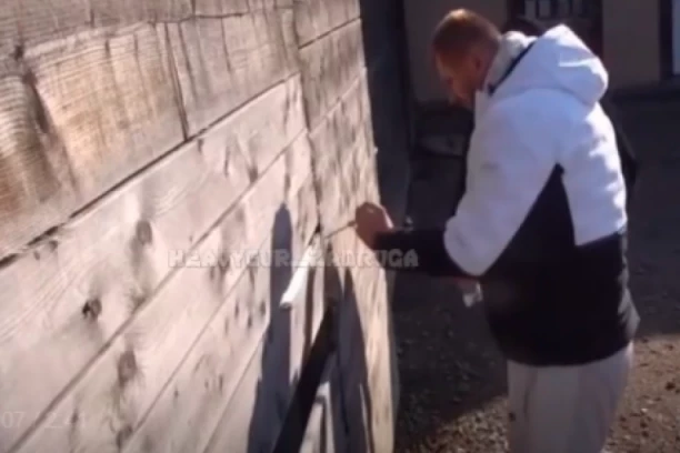 Janjuš RAZLUPAO OGRADU kako bi POBEGAO: Isplivao ŠOK snimak, a ovaj zadrugar mu je sve vreme POMAGAO! (VIDEO)