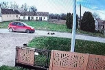 ZA SVAKU OSUDU! Bahati vozač pregazio štence, nije ni pokušao da zakoči (VIDEO, UZNEMIRUJUĆI SADRŽAJ)