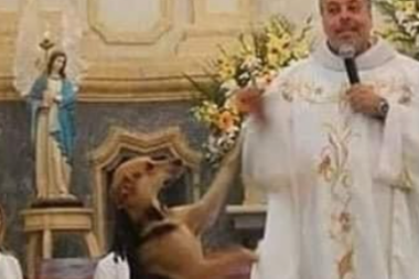 ČOVEK SA VELIKIM SRCEM: Lokalni sveštenik iz Brazila uzima pse sa ulice koje niko ne želi, brine o njima i udomljava ih!