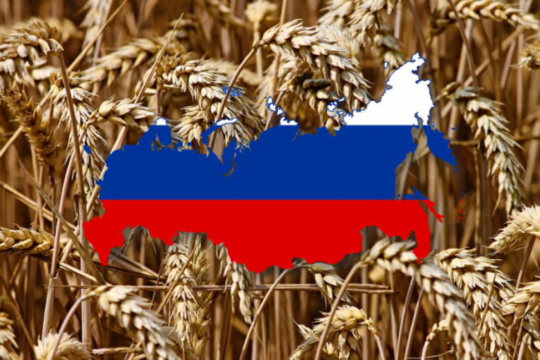 POREZ NA IZVOZ PŠENICE NA ISTORIJSKOM MAKSIMUMU: Rusija po prvi put uvela namet od preko 100 dolara po toni
