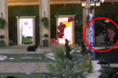 Skandalozno ponašanje Miljane Kulić! Jezivim postupkom ZGROZILA NACIJU, vršila NUŽU NASRED DVORIŠTA! (VIDEO)