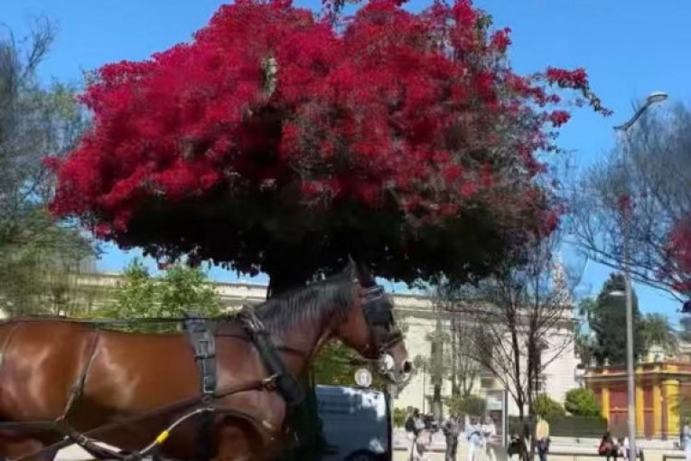 Anastasija Ražnatović u Španiji sa dečkom