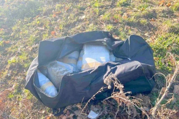 NIŠLIJA "NEGOVAO" 87 STABLJIKI KANABISA, LESKOVČANIN PRODAVAO HEROIN: Obojici određeno zadržavanje