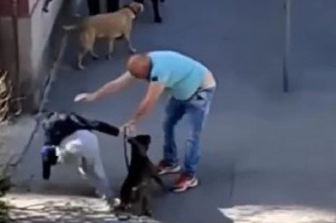 UHAPŠEN SILEDŽIJA IZ ZEMUNA: Pretukao ženu i njenog psa na ulici (VIDEO)