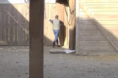 Bebica PONOVO POBEGAO! Macanović ne može da podnese da Miljana voli Zolu! (VIDEO)