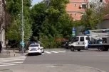 GRAĐANI U ŠOKU! Srušilo se drvo usred Beograda, više automobila oštećeno! (VIDEO)