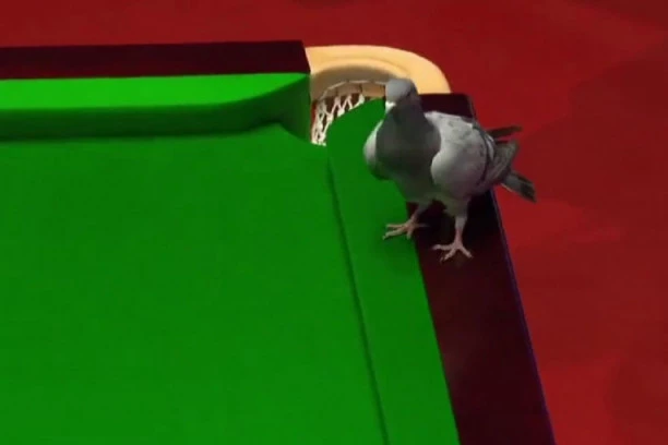 NEVEROVATNA SCENA: Prekinuto finale Svetskog prvenstva, nezvani gost je sve upropastio! (VIDEO)