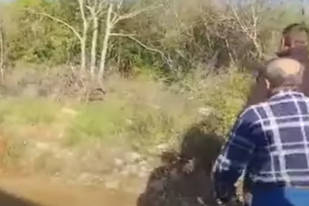 NEREALNE SCENE U HOTELU U ISTRI! Nezvani gost ušao, prošetao se, pa za dlaku izbegao SMRT! (VIDEO)