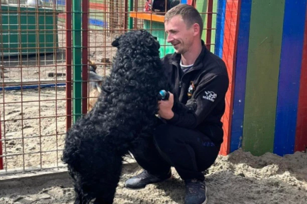 ŠTA LJUBIMCI MISLE O SVOM VLASNIKU? Ovo istraživanje je sve pokazalo!