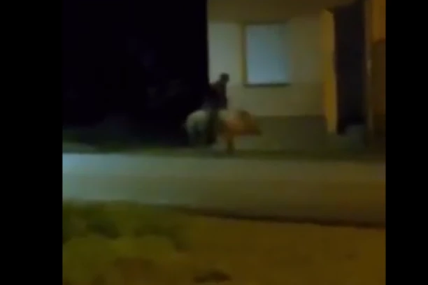 Hit! KRMAČA sa BALKANA uzburkala strasti na društvenim mrežama! Zbog njenog umeća svi bi se odrekli ČVARAKA I SLANINE! (VIDEO)