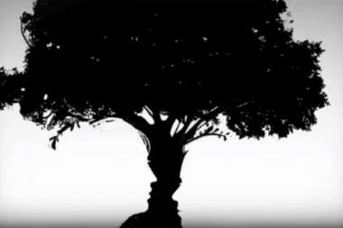 DA LI STE ROMANTIK ILI STE SAMI SEBI DOVOLJNI? Rešite jednostavan test i otkrijte to!