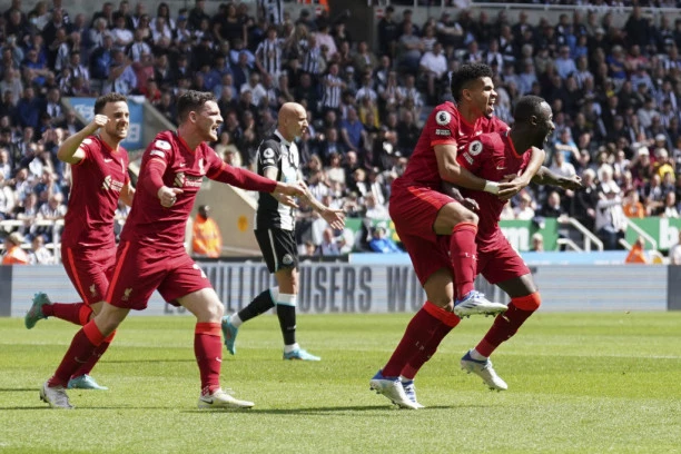 ZLATAN MINIMALAC: Liverpul preživeo i osvojio Njukasl! (VIDEO)