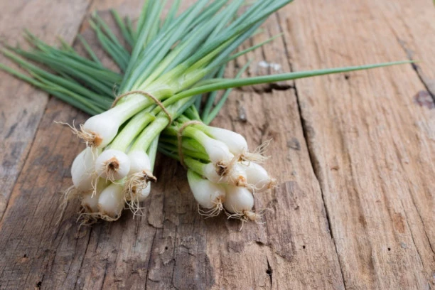 SVAKOG DANA JEDITE MLAD LUK! Ako ste u mogućnosti, pokušajte, bićete iznenađeni rezultatima!