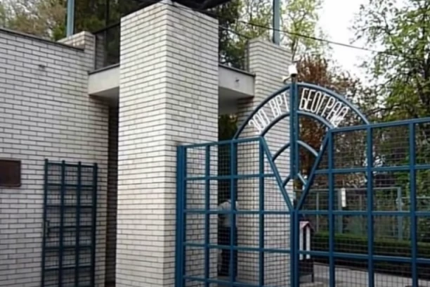 BROJNI MALIŠANI ĆE BITI ODUŠEVLJENI! Kada čuju koja životinja stiže u beogradski ZOO vrt odmah će pohrliti da je vide - EVO O KOME SE RADI!