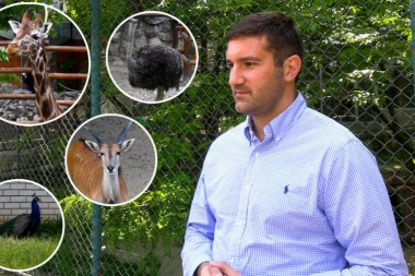 EDUKATIVNE PREDSTAVE I ZABAVNA APLIKACIJA: Beogradski Zoo Vrt spremio novitete za najmlađe ljubitelje životinja! (VIDEO)