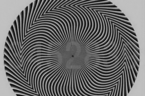 OPTIČKA ILUZIJA ZBUNILA SVE REDOM! Koji vi broj vidite u centru kruga?