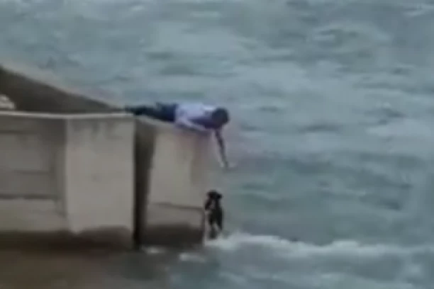 Muškarac napustio svadbu da bi SPASAO PSA iz nabujalog LIMA! Prizor koji je oduševio INTERNET zajednicu! (VIDEO)