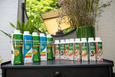 BALANS+ PROBIOTSKI JOGURT - ZDRAVO VARENJE U BRZOM RITMU DANAŠNJICE!