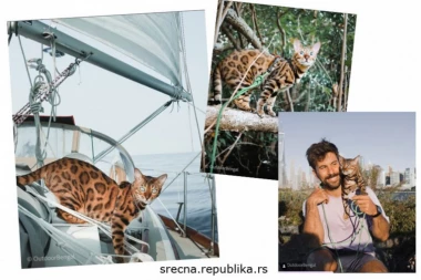 ADRENALINSKA MAČKA: Pogledajte šta sve radi Mia, maca koja će vas oduševiti (FOTO i VIDEO)