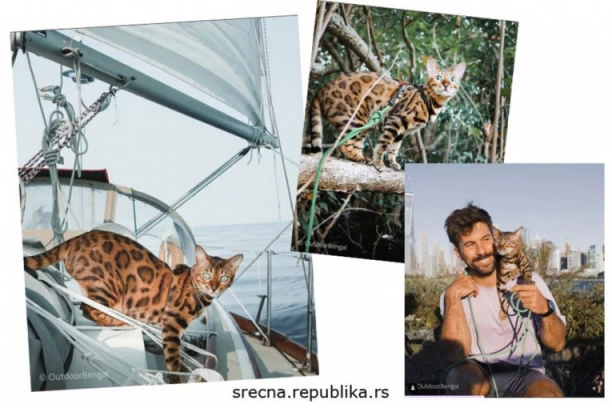 ADRENALINSKA MAČKA: Pogledajte šta sve radi Mia, maca koja će vas oduševiti (FOTO i VIDEO)