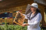 SVETSKI DAN PČELA: Prilika za razgovor o izazovima očuvanja pčela i aktivnostima neophodnim za obezbeđenje njihovog opstanka
