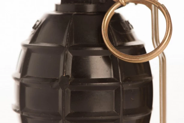 Dojave o bombama u školama u Novom Sadu i Somboru bile lažne!