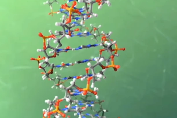 OTKRIVEN GEN KOJI ŠTITI OD ALCHAJMEROVE BOLESTI I PARKINSONA! Istraživanja šokirala naučnike, OVO nisu očekivali!