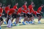 MITROVIĆ SLAVI: Fulam dovodi još jednog SRBINA!