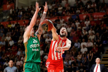 DŽELAT VEČITIH OZVANIČIO TRANSFER! Bivši igrač Zvezde ponovo u STAROM jatu!